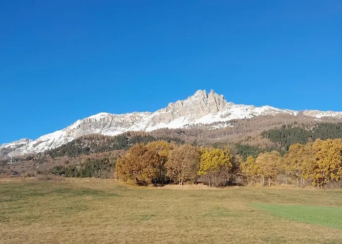 Le Piolit